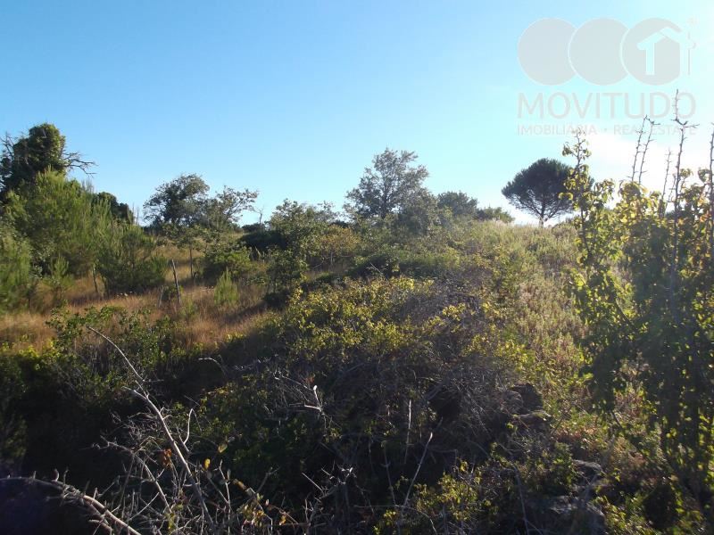 Terreno Agricola ou Rústico para Venda em Carnota