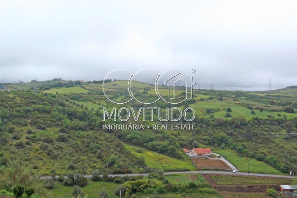 Terreno Agricola ou Rústico para Venda em Santiago dos Velhos Foto 3