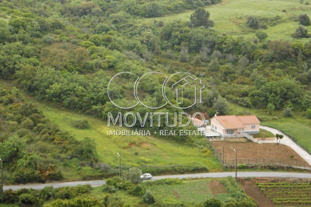 Terreno Agricola ou Rústico para Venda em Santiago dos Velhos Foto 5