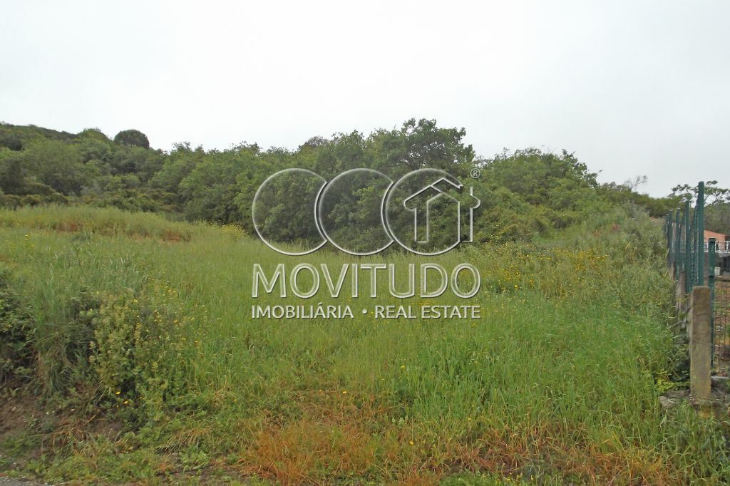 Terreno Agricola ou Rústico para Venda em Santiago dos Velhos Foto 6