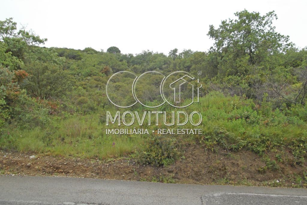 Terreno Agricola ou Rústico para Venda em Santiago dos Velhos Foto 8