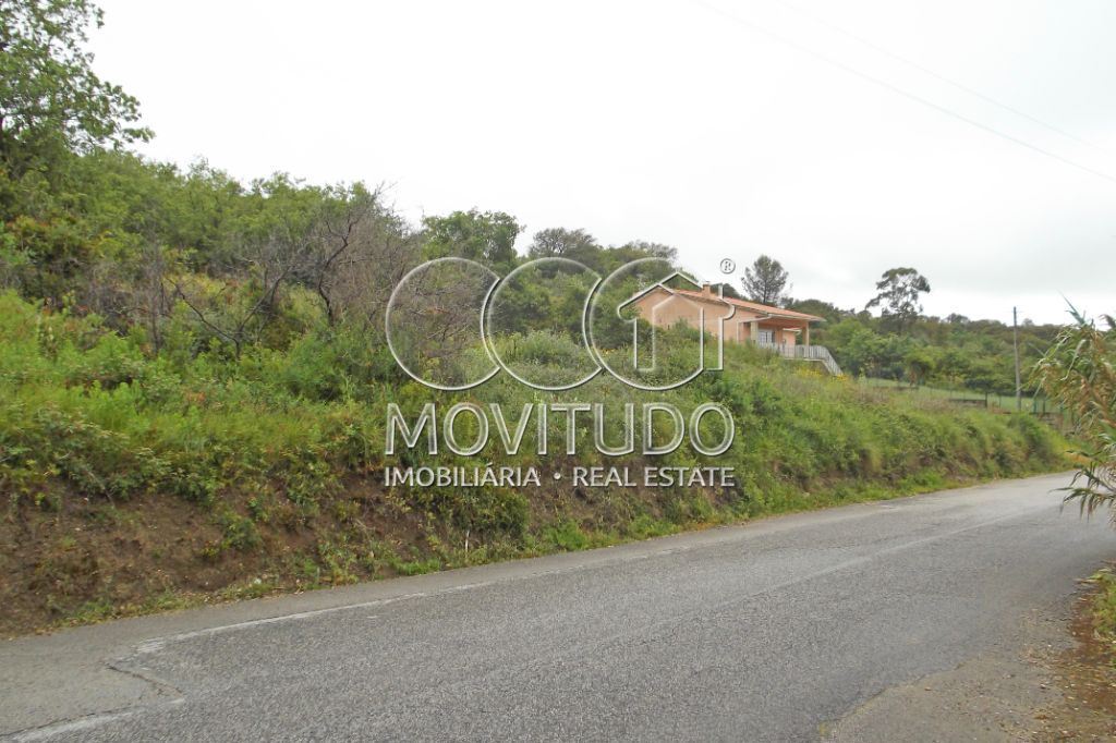 Terreno Agricola ou Rústico para Venda em Santiago dos Velhos Foto 10