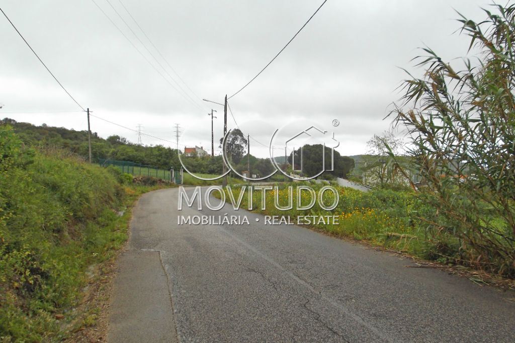 Terreno Agricola ou Rústico para Venda em Santiago dos Velhos Foto 11