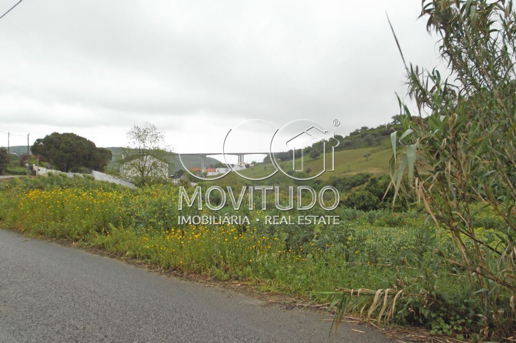 Terreno Agricola ou Rústico para Venda em Santiago dos Velhos Foto 12