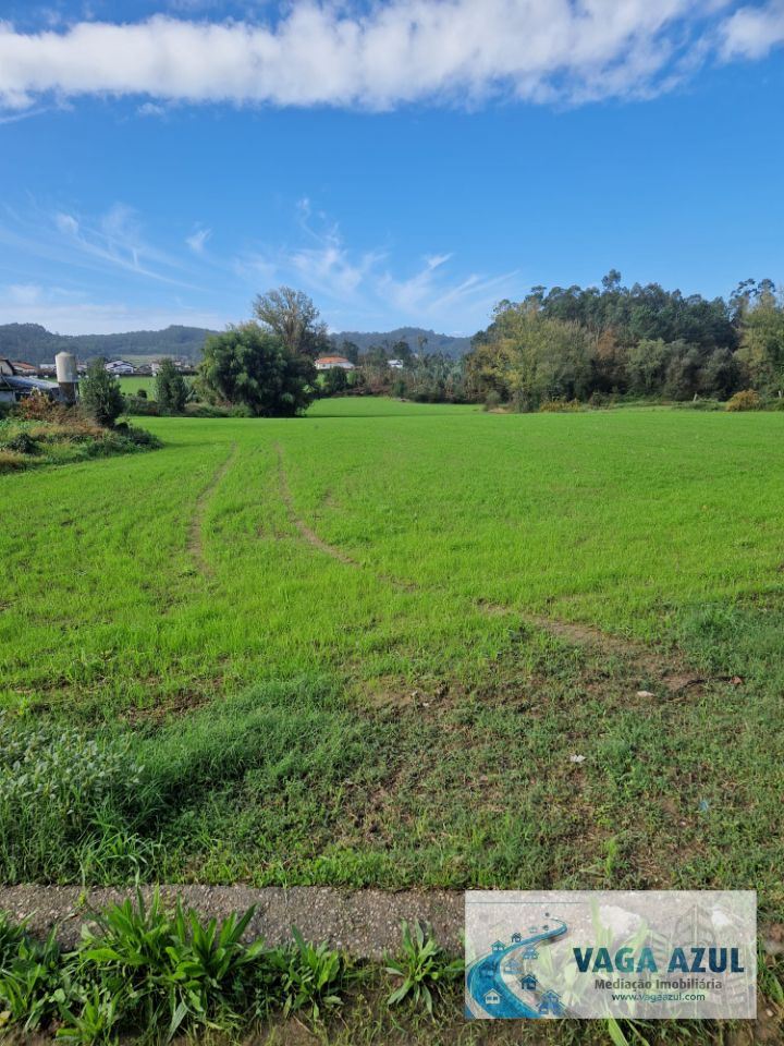 Terreno Agricola ou Rústico para Venda em Muro
