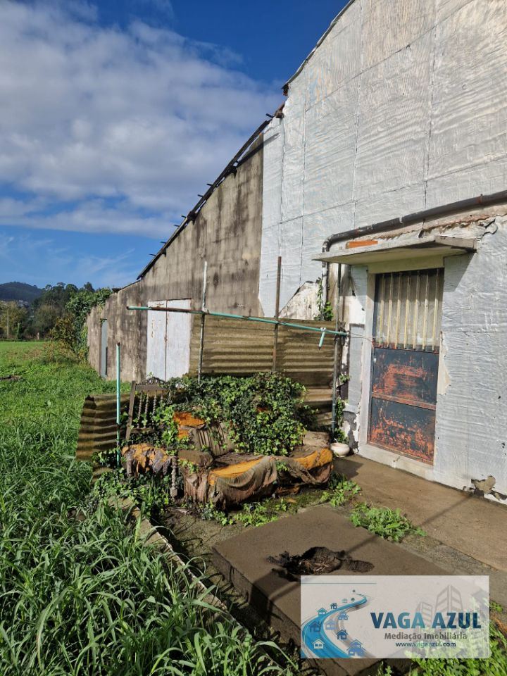 Armazém para Venda em Muro