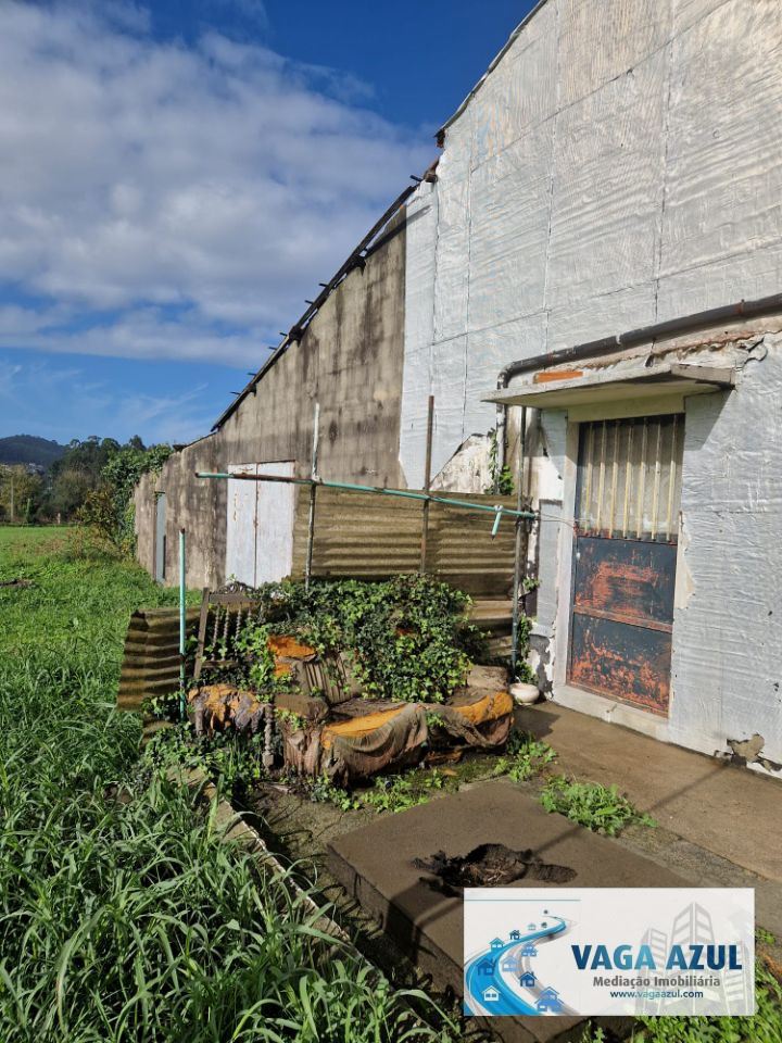 Moradia T6 para Venda em Muro