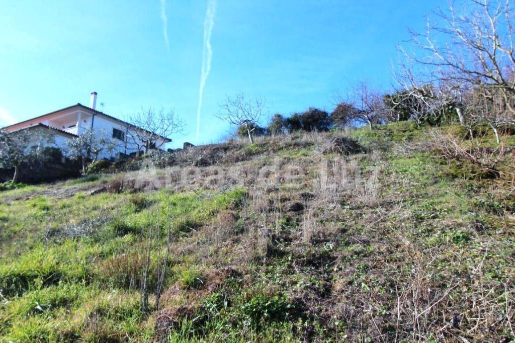 Terreno P/ Prédio para Venda em Leiria, Pousos, Barreira e Cortes