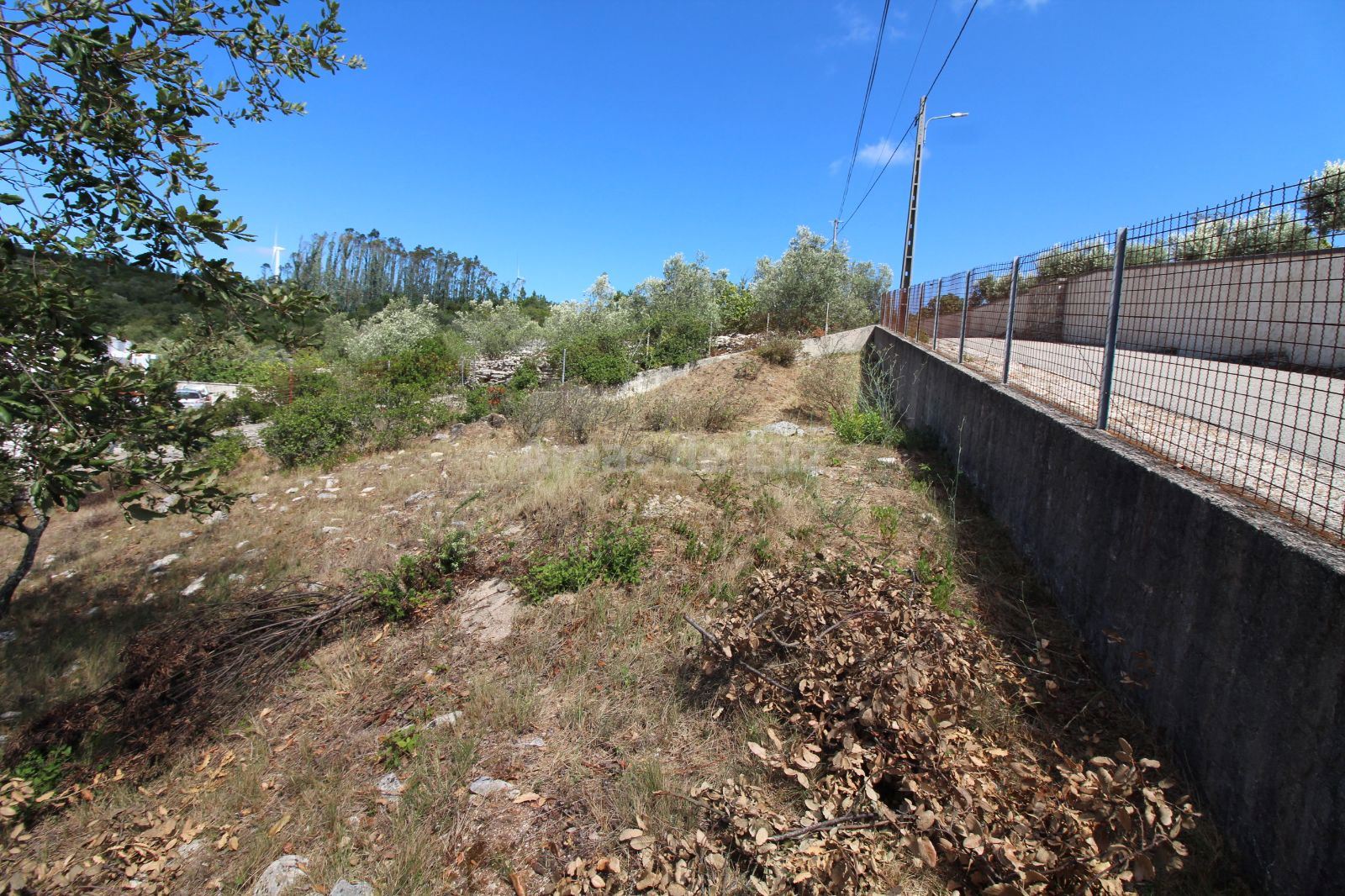 Terreno Agricola ou Rústico para Venda em Reguengo do Fetal