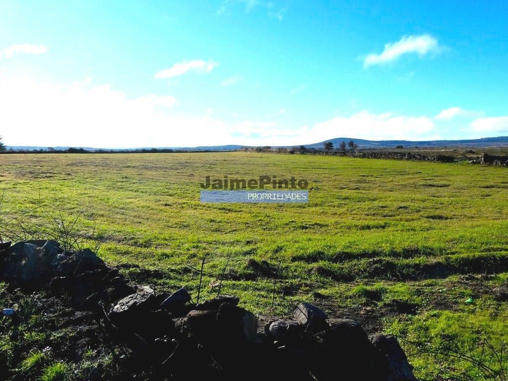 Terreno Agricola ou Rústico para Venda em Escalhão