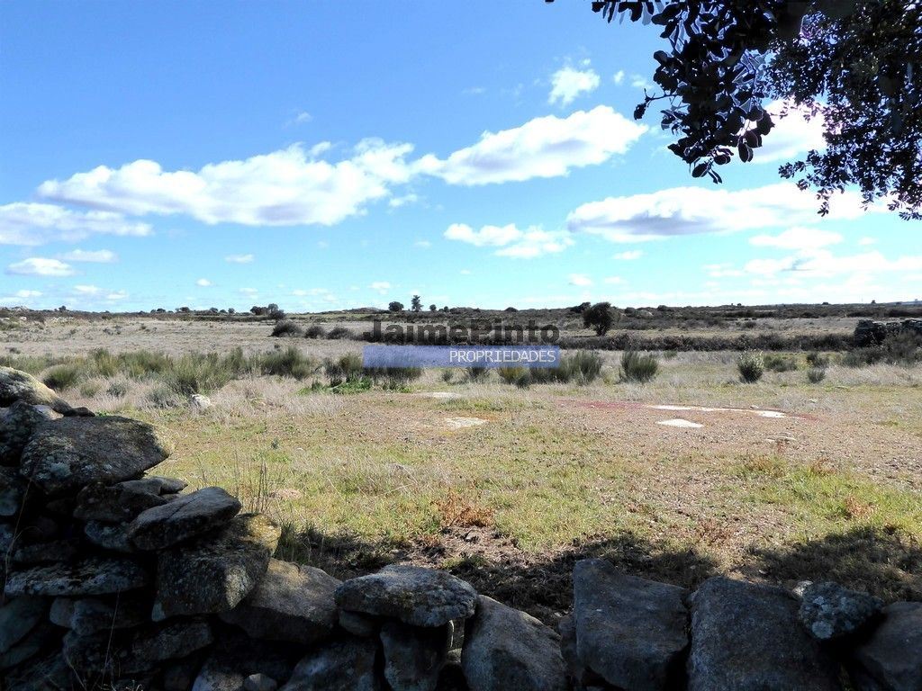 Terreno Agricola ou Rústico para Venda em Figueira de Castelo Rodrigo