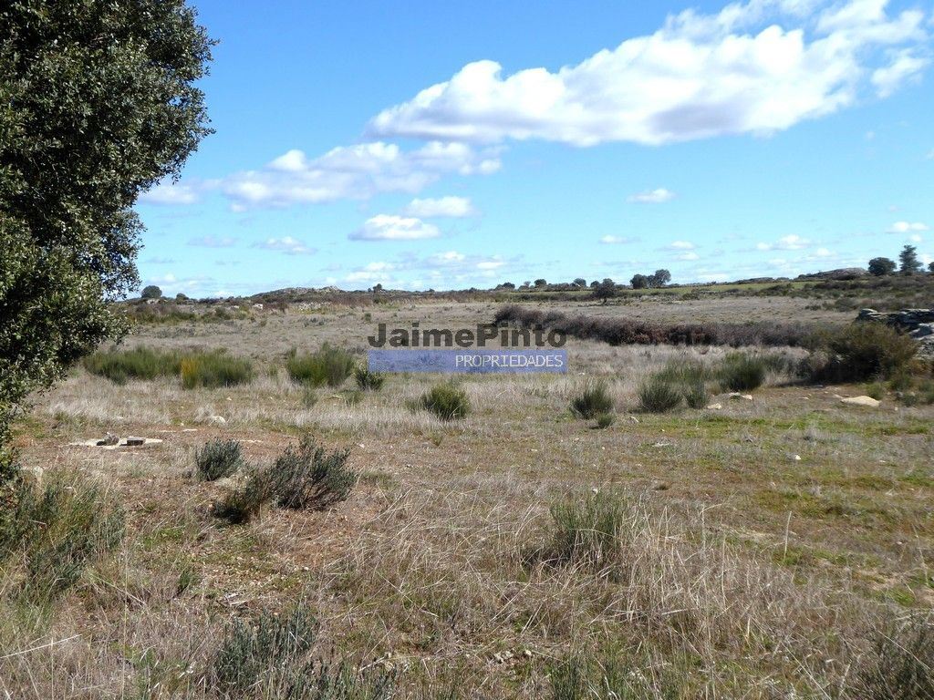Terreno Agricola ou Rústico para Venda em Figueira de Castelo Rodrigo
