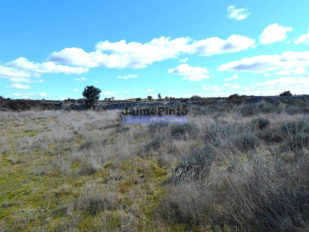 Terreno Agricola ou Rústico para Venda em Figueira de Castelo Rodrigo