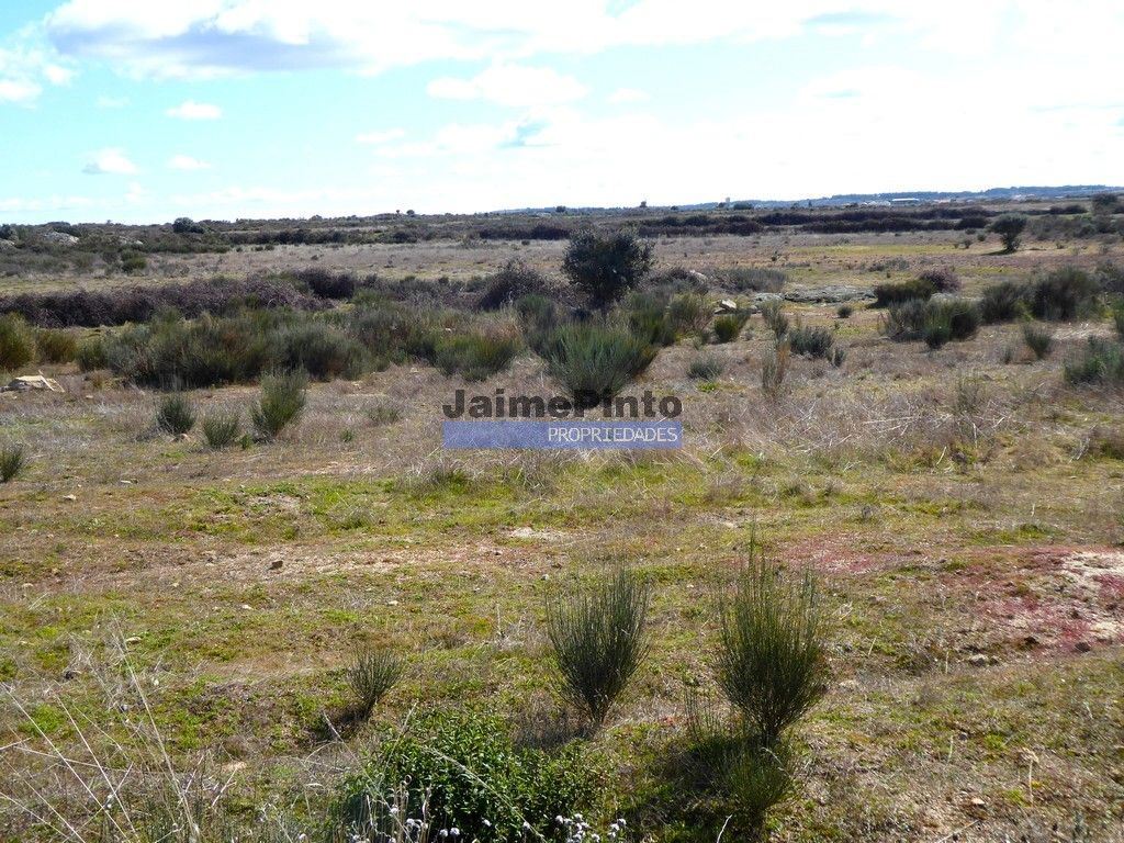 Terreno Agricola ou Rústico para Venda em Figueira de Castelo Rodrigo