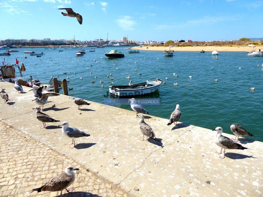 Terreno P/ Prédio para Venda em Ferragudo