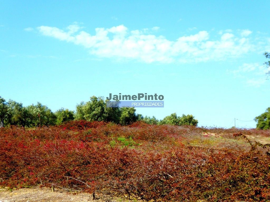 Terreno P/ Prédio para Venda em Ferragudo