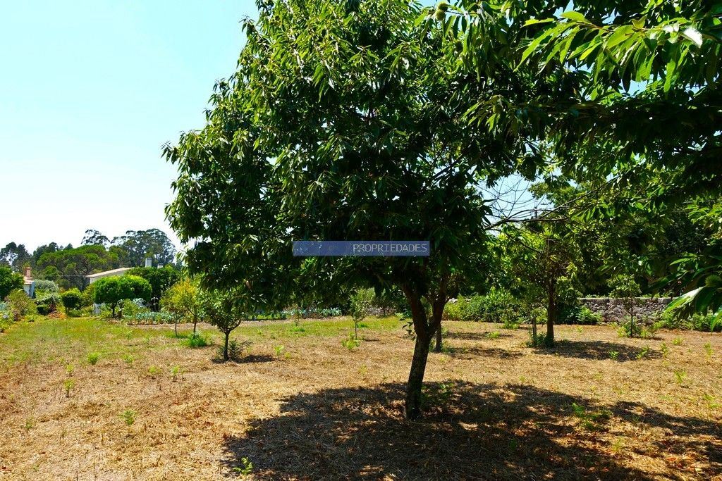 Moradia T3 para Venda em Santa Comba