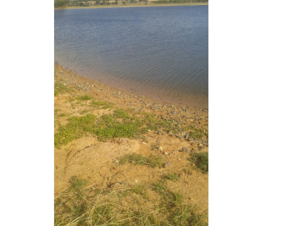 Terreno Agricola ou Rústico para Venda em Montargil