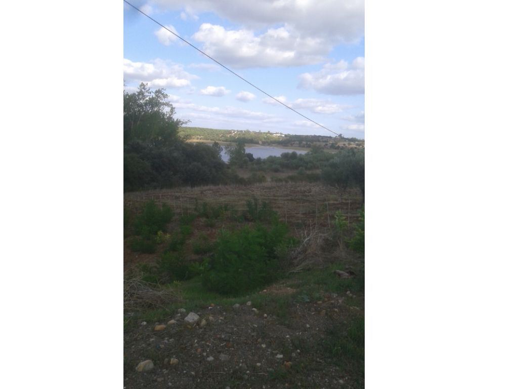 Terreno Agricola ou Rústico para Venda em Montargil