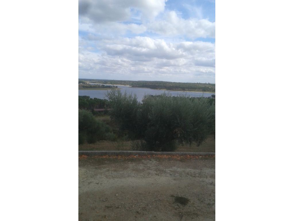 Terreno Agricola ou Rústico para Venda em Montargil