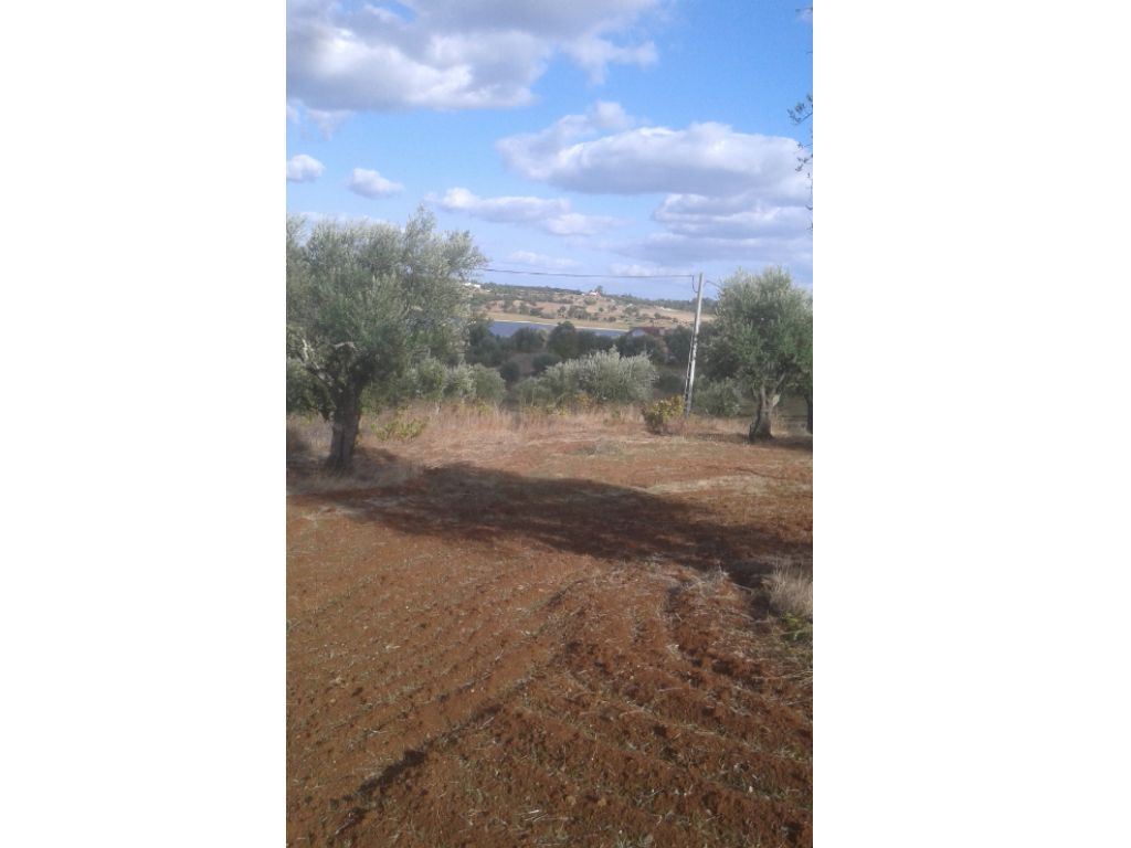 Terreno Agricola ou Rústico para Venda em Montargil