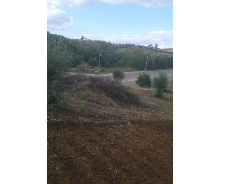 Terreno Agricola ou Rústico para Venda em Montargil