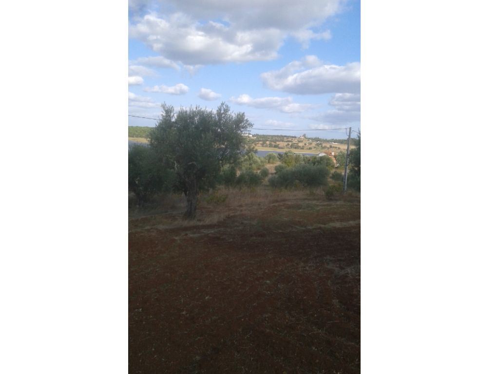 Terreno Agricola ou Rústico para Venda em Montargil