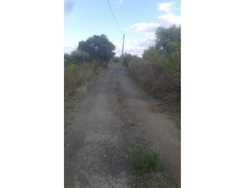 Terreno Agricola ou Rústico para Venda em Montargil