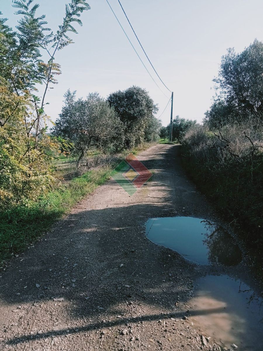 Terreno Agricola ou Rústico para Venda em Montargil