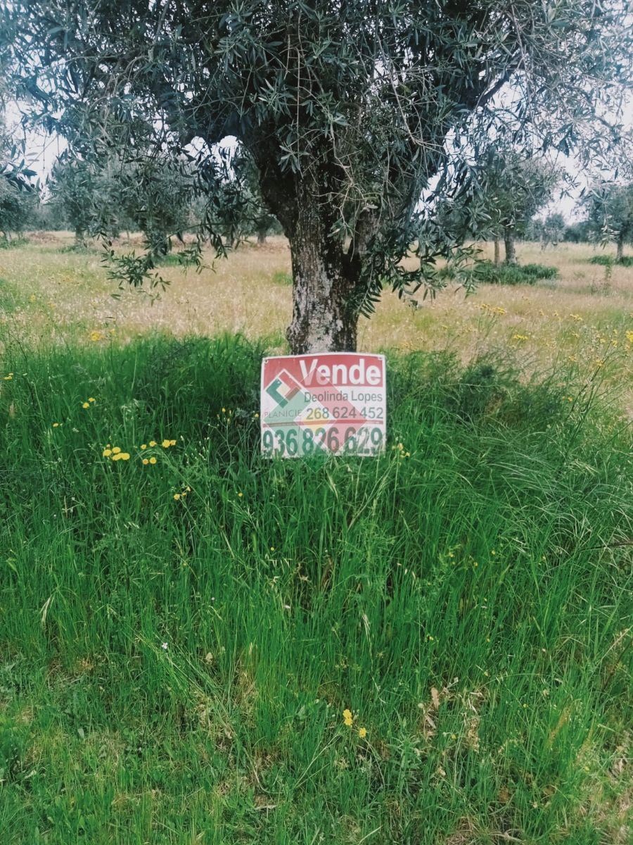Terreno Agricola ou Rústico para Venda em Ponte de Sor, Tramaga e Vale de Açor