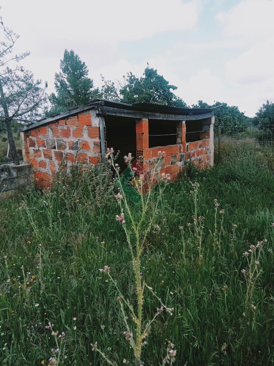 Terreno Agricola ou Rústico para Venda em Ponte de Sor, Tramaga e Vale de Açor