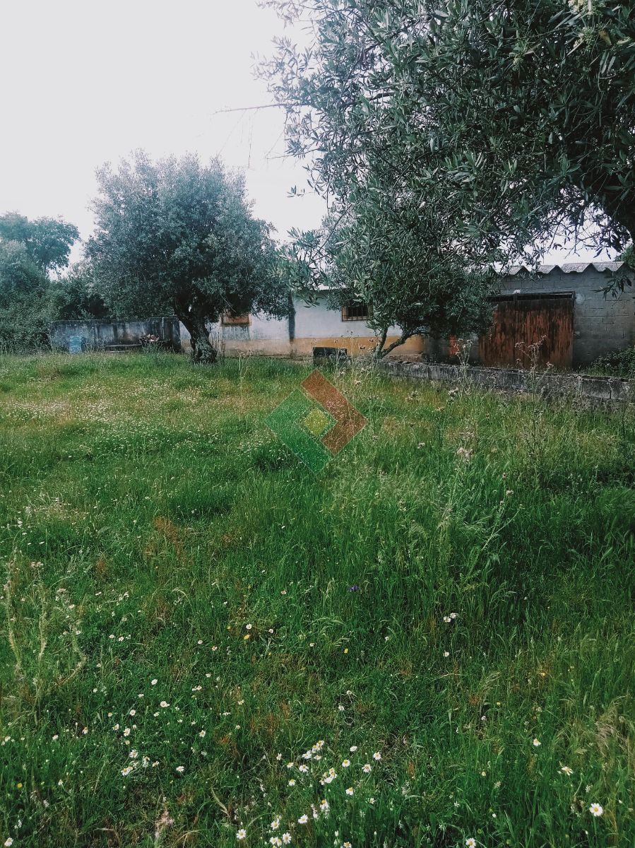 Terreno Agricola ou Rústico para Venda em Ponte de Sor, Tramaga e Vale de Açor