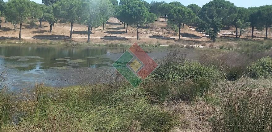 Quinta T0 para Venda em Montargil