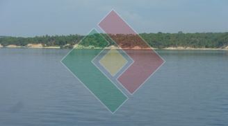 Quinta T0 para Venda em Montargil