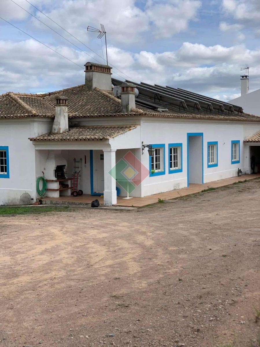 Quinta T5 para Venda em Montargil