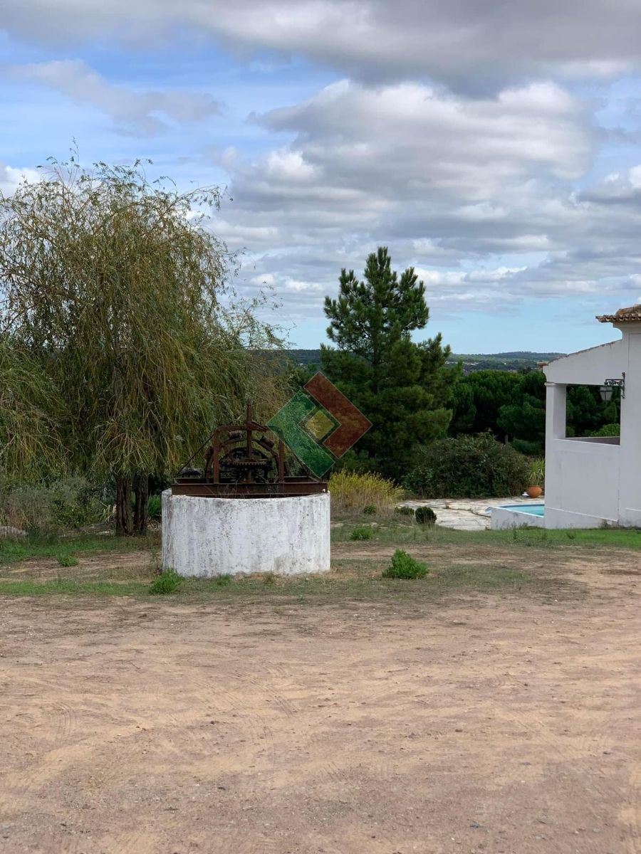 Quinta T5 para Venda em Montargil