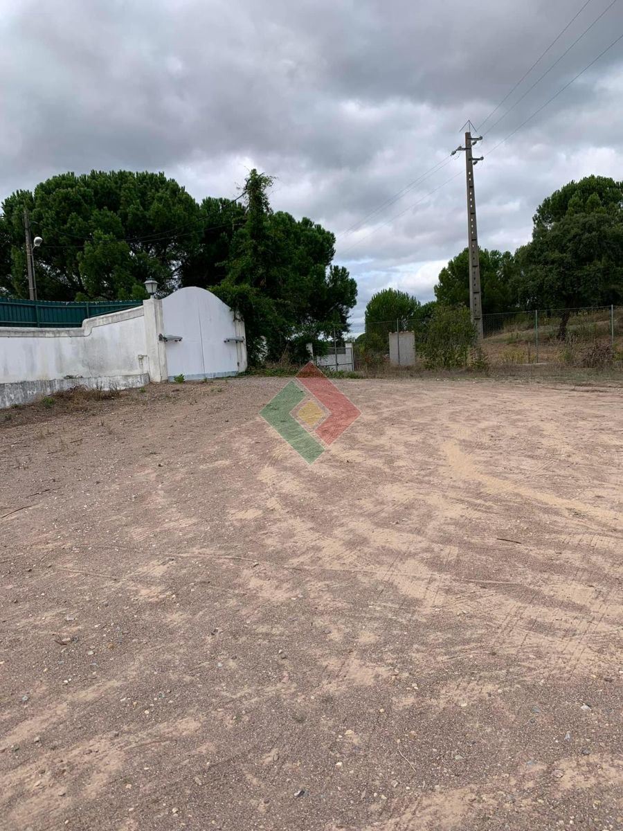 Quinta T5 para Venda em Montargil