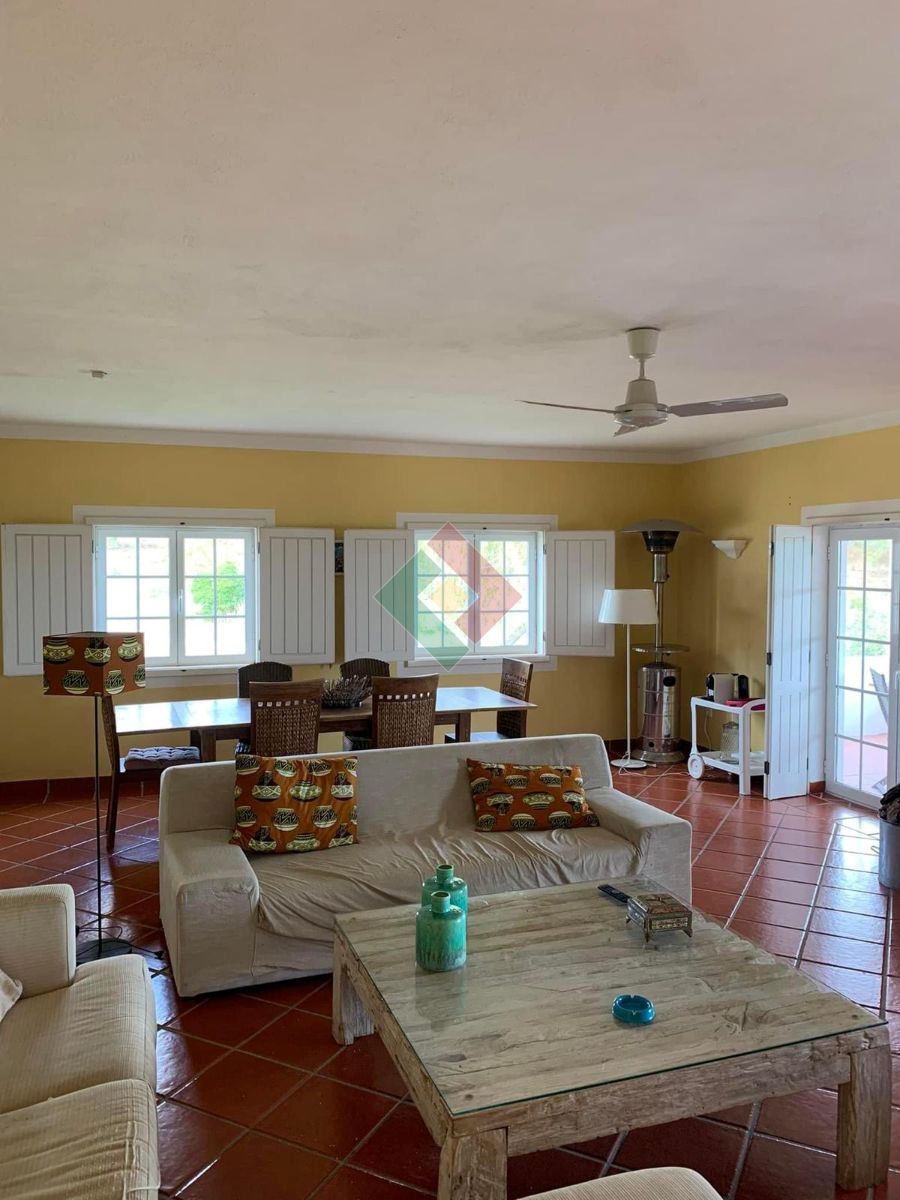 Quinta T5 para Venda em Montargil