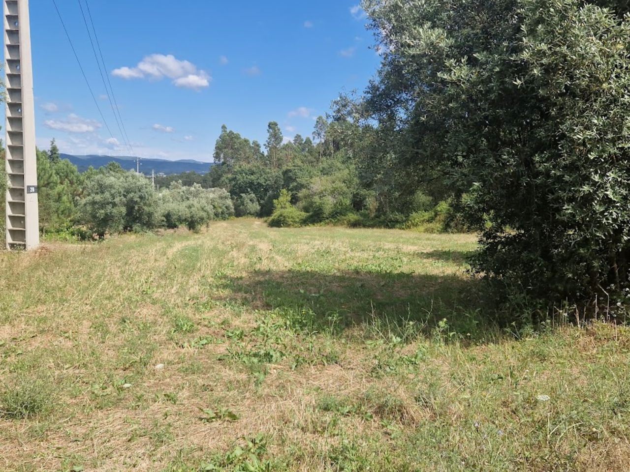 Terreno Comércio / Armazém para Venda em Casal Comba