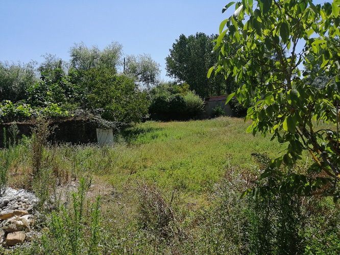 Terreno para Venda em Cantanhede e Pocariça