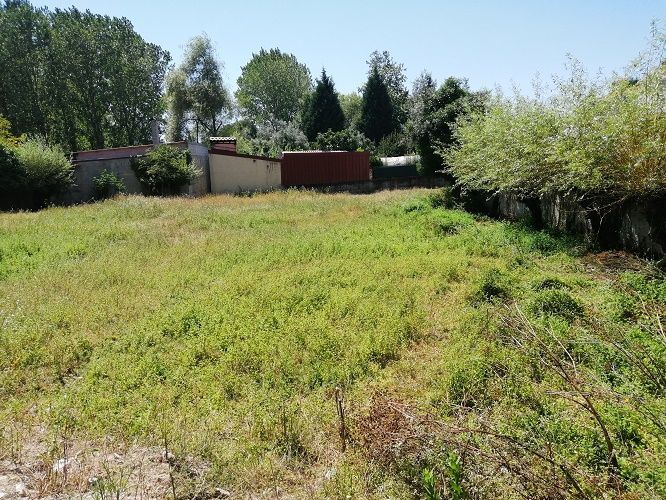 Terreno para Venda em Cantanhede e Pocariça