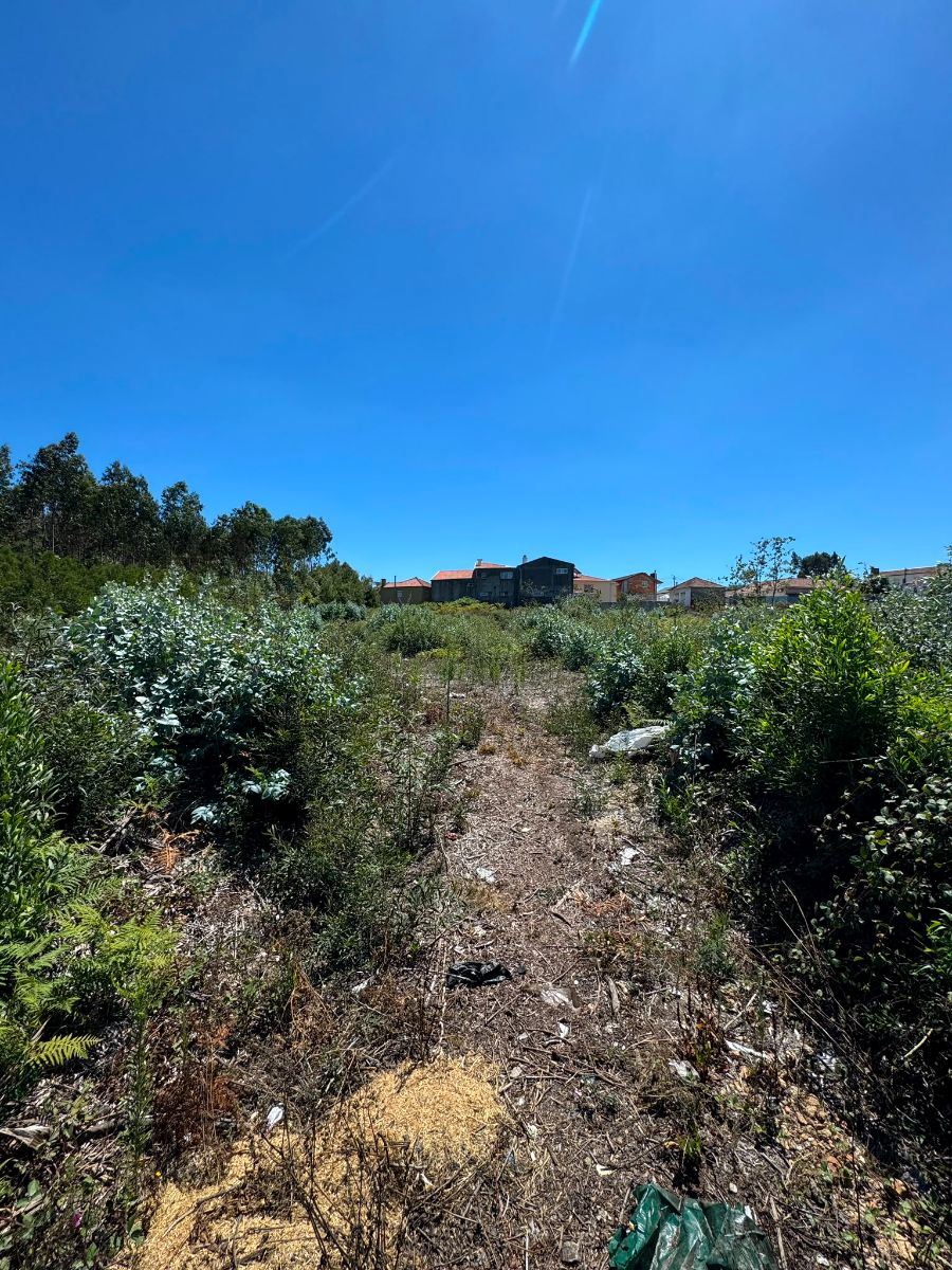 Terreno P/ Prédio para Venda em Fiães
