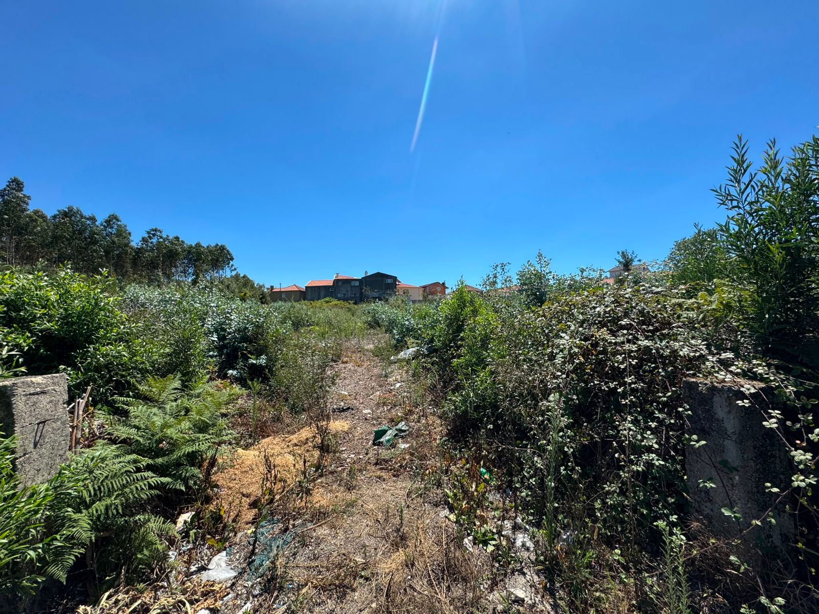 Terreno P/ Prédio para Venda em Fiães