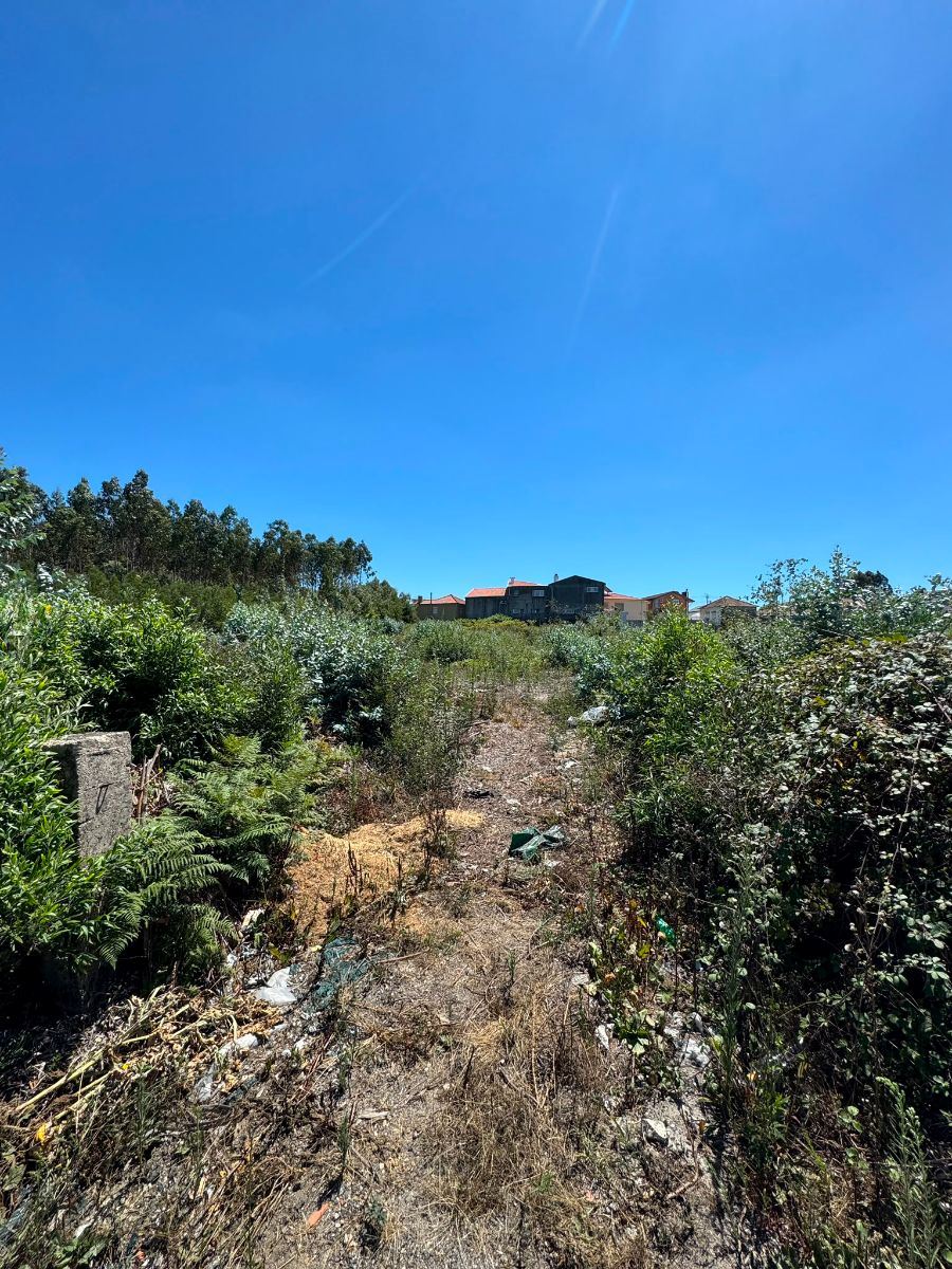 Terreno P/ Prédio para Venda em Fiães