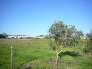 Mixed land, for Sale