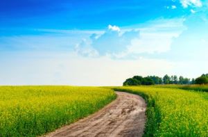 Terreno para moradia