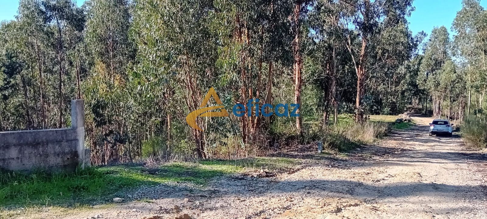 Terreno Agricola ou Rústico para Venda em Lagares e Figueira