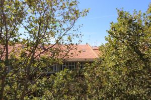 Piso T1, para Compra