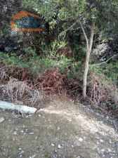 Lot for individual housing, para Sale