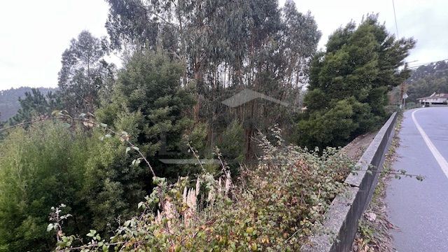 Terreno P/ Prédio para Venda em Canedo, Vale e Vila Maior